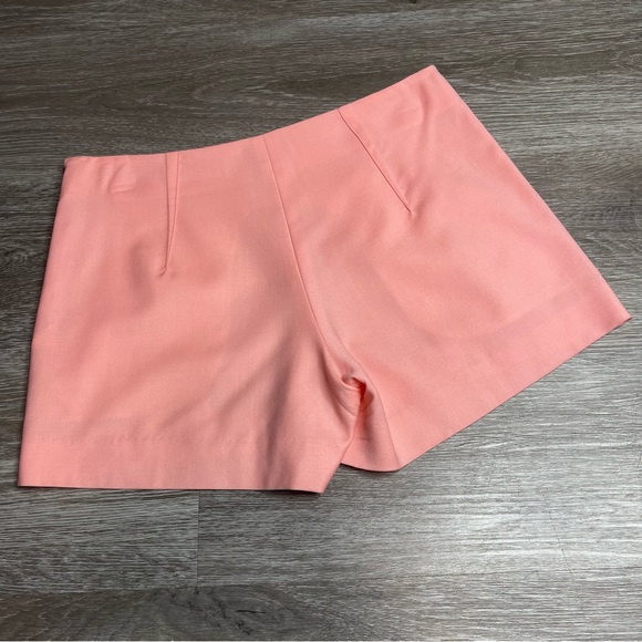 Theory Pink Short size 0 - Picture 2 of 8